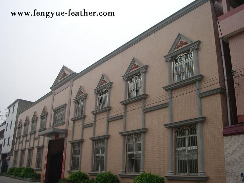 Guangdong Hongfa Import & Export Co., Ltd. linha de produção do fabricante
